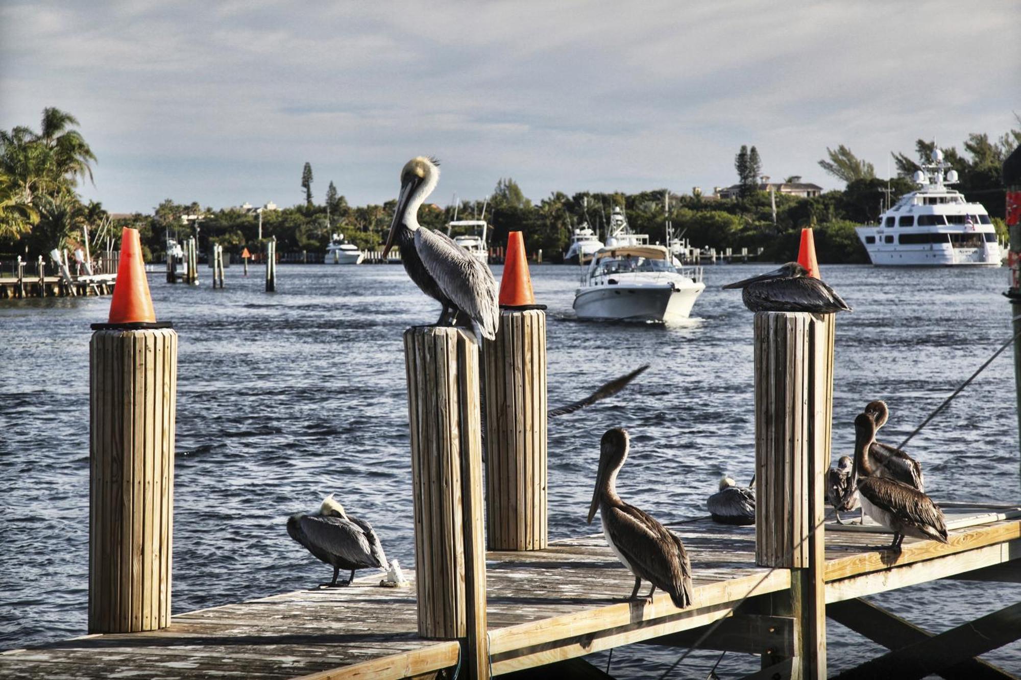 Floranada Condos Pompano Beach Bagian luar foto